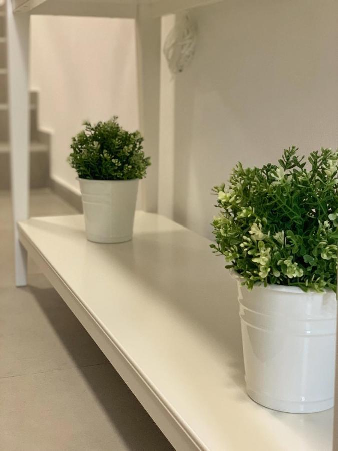 Apartments Dream In Arena 2 Pula Center Free Parking 外观 照片