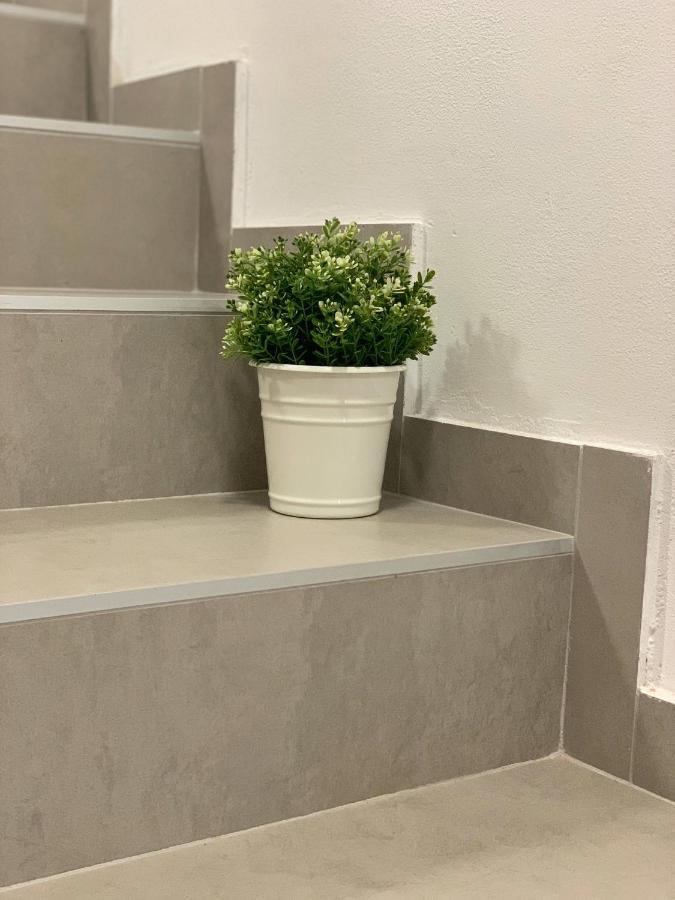 Apartments Dream In Arena 2 Pula Center Free Parking 外观 照片